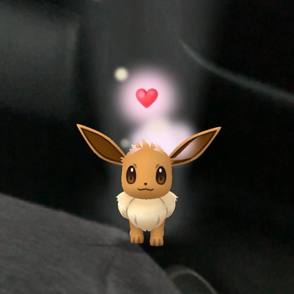 Meet your Posher, Cody